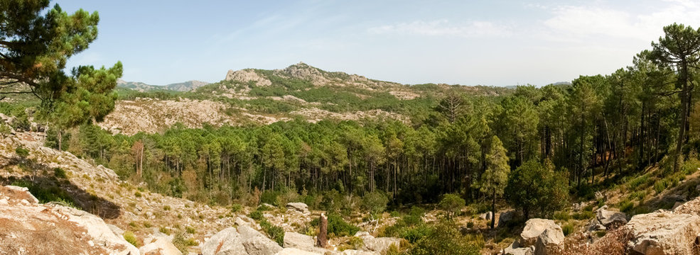 forest and highland hospital
