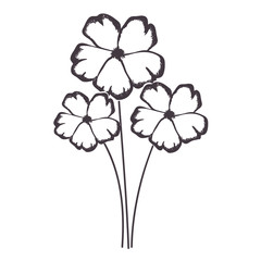 delicate flower drawing icon image vector illustration design 