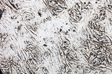 The surface of the spilt and dried-up white paint