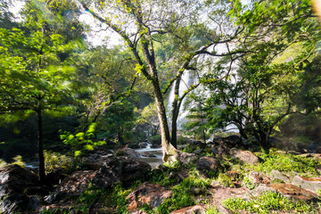 Waterfall in deep forest in national park in Thailand.