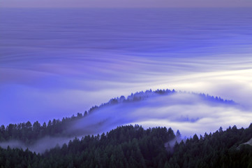 rolling fog ocean