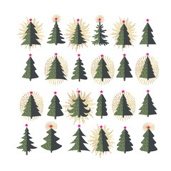Set of different fir trees on white background