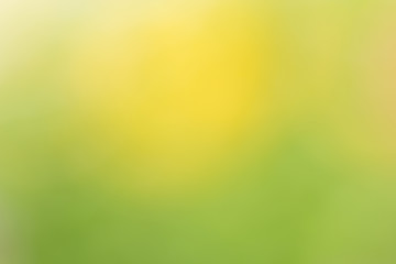 Yellow and green abstract natural background