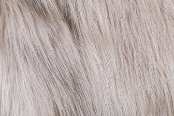 texture of fur