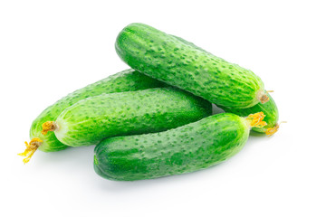 cucumber isolated