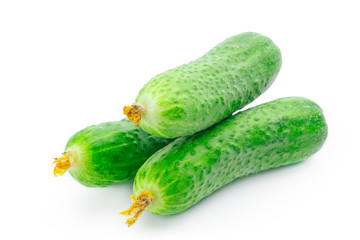 cucumber isolated