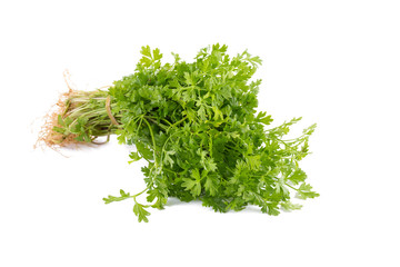 Bunch of fresh coriander leaves over white background.