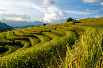 Ban Pabongpiang Chiangmai Thailand