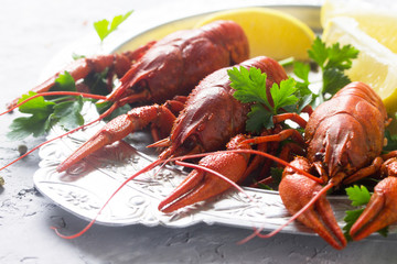 Boiled crayfish, lemon and parsley on a concrete background, sel