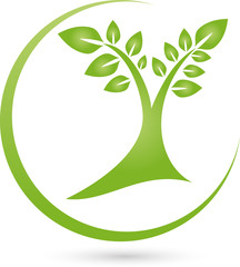 Baum, Pflanze, Blätter, Heilpraktiker