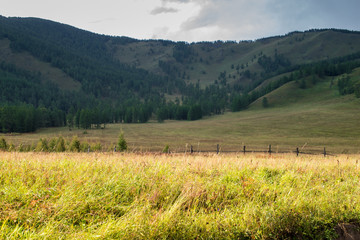 Obraz premium Altai mountain, Russia
