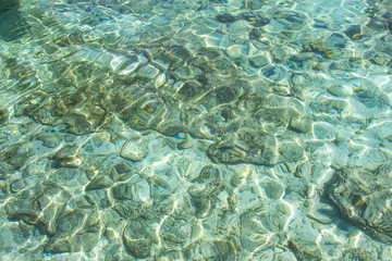 Fototapeta na wymiar Crystal clear water of the tropical sea