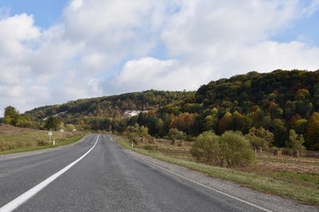 Fototapeta premium autumn forest
