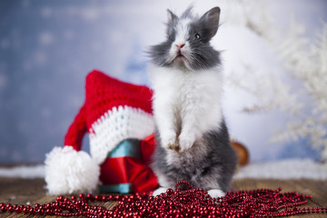 Little santa bunny on Christmas background