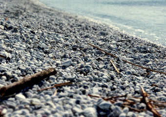 White stones and tree trunks on the beach frame the blue sea Tuscany Italy