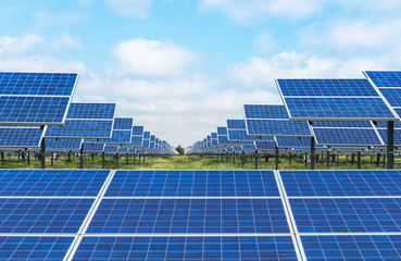 solar panels photovoltaics  in solar power station  alternative  energy  from nature