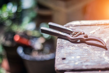 pruning shears on the wooden table