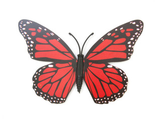 Naklejka na ściany i meble red fake butterfly isolated