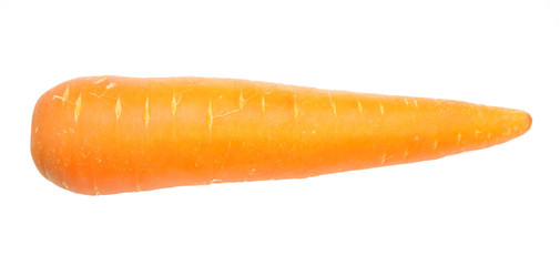 Carrot isolated on the white background