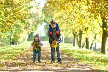 lachende Kinder werfen bunte Blätter im Herbst