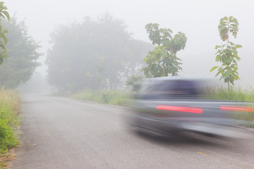 Motion blur of blue car on road on foggy morning along green tree 
