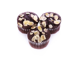 Chocolate cupcake isolated on white background