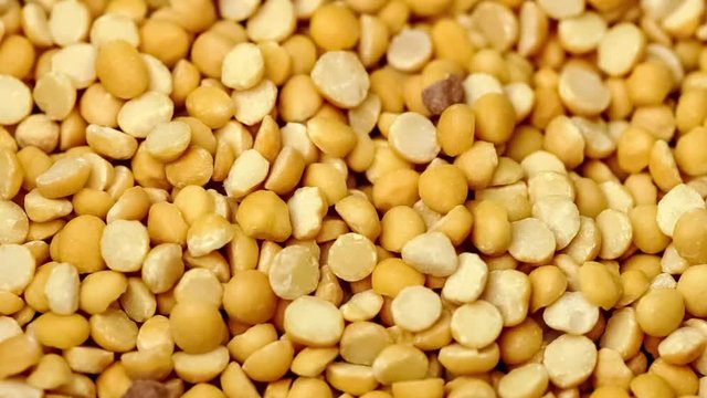 Closeup of metal cooking pot filling up with raw dehydrated yellow split pea lentils, includes sound