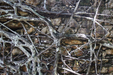 South America, Brazil, Bahia, Salvador,  Island Morro de Sao Paulo