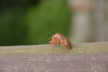 Spot Karabitsu Shimizu Japan