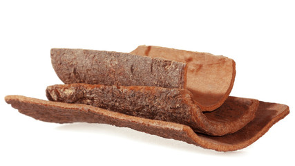 Cinnamon bark. Natural Dalchini. Isolated from white background. Soft focus.