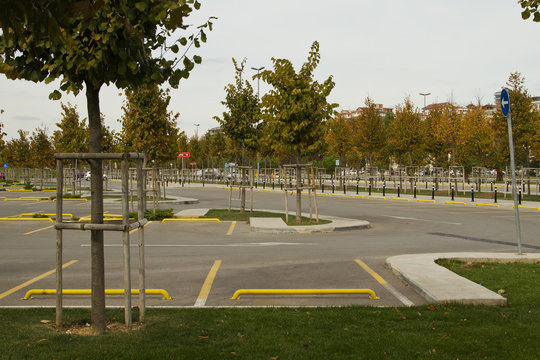 Car parking in ther park with yellow lines