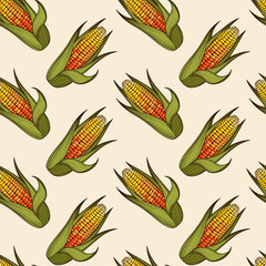 Hand drawn corn cob seamless pattern. Organic food background. Vector illustration