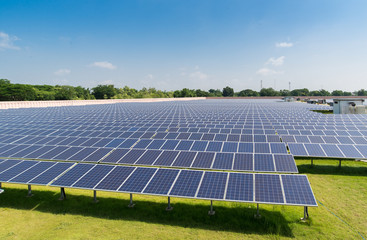 Solar panels under sunlight in solar farm