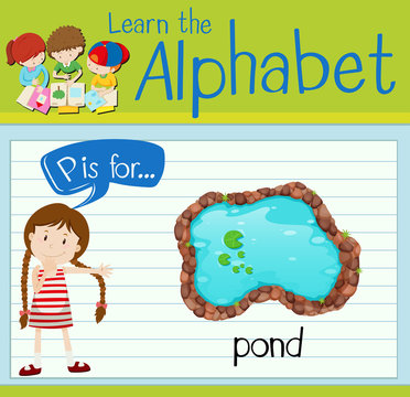 Flashcard alphabet P is for pond