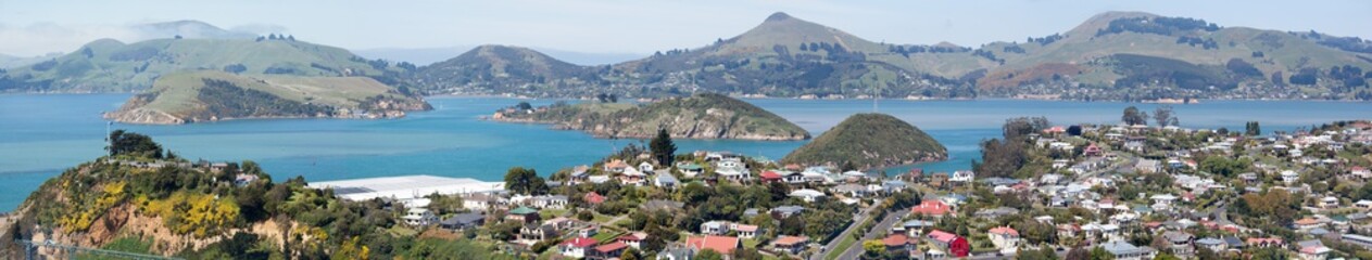 Fototapeta na wymiar Dunedin Suburb Panorama