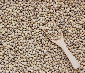 Soybeans in a wooden spoon on Soybeans background