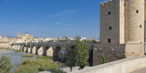 Fototapeta na wymiar Córdoba, het histories centrum in de omgeving van de Mezquita. 
