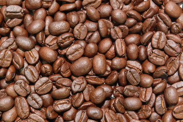 Obraz premium coffee beans, can be used as a background