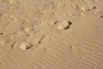 Sand background with wavelike patterns, footprints and seashells