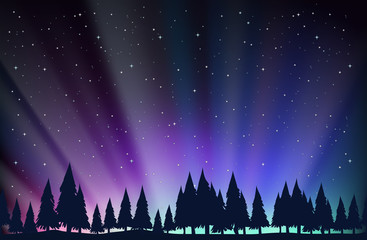Night scene with trees and stars