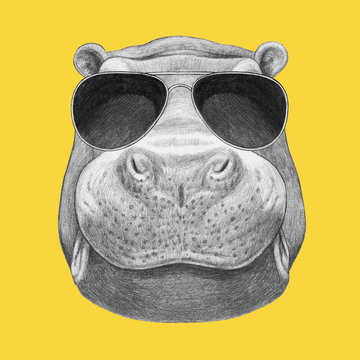 Portrait of Hippo with sunglasses. Hand drawn illustration.