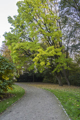 Fototapeta na wymiar Knoops-Park im Herbstkleid in Bremen
