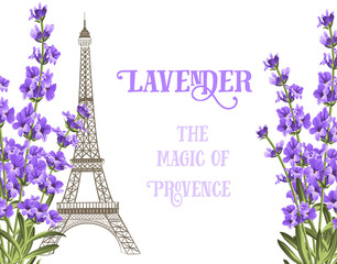 Fototapeta na wymiar Eiffel tower icon with lavender flowers isolated over white background with sign Lavender te magic of provence. Vector illustration.