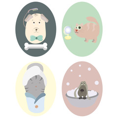 Pets: dog, cat. Grooming. Set of big round icons.