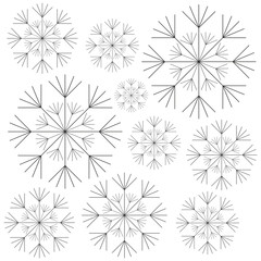 Obraz premium dandelion seed decoration icon vector illustration design