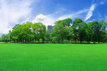In city parks, lawns