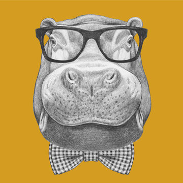 Portrait of Hippo with glasses and bow tie. Hand drawn illustration.
