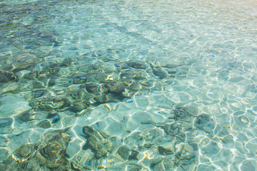 Crystal clear water of the tropical sea