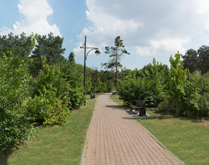 Naklejka premium Trail and Park benches