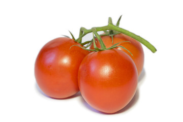 tomatoes isolated